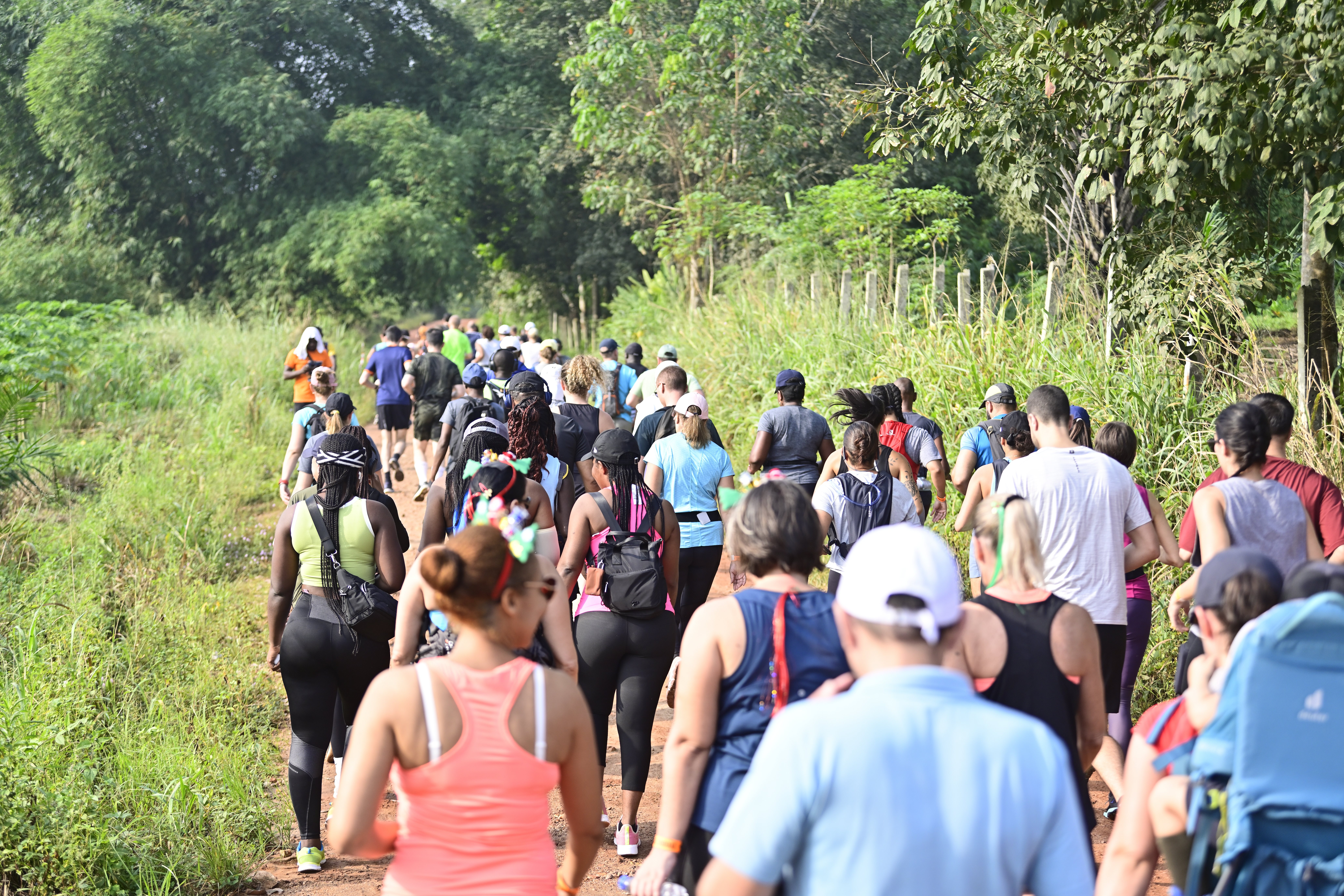 Ivoire Trail