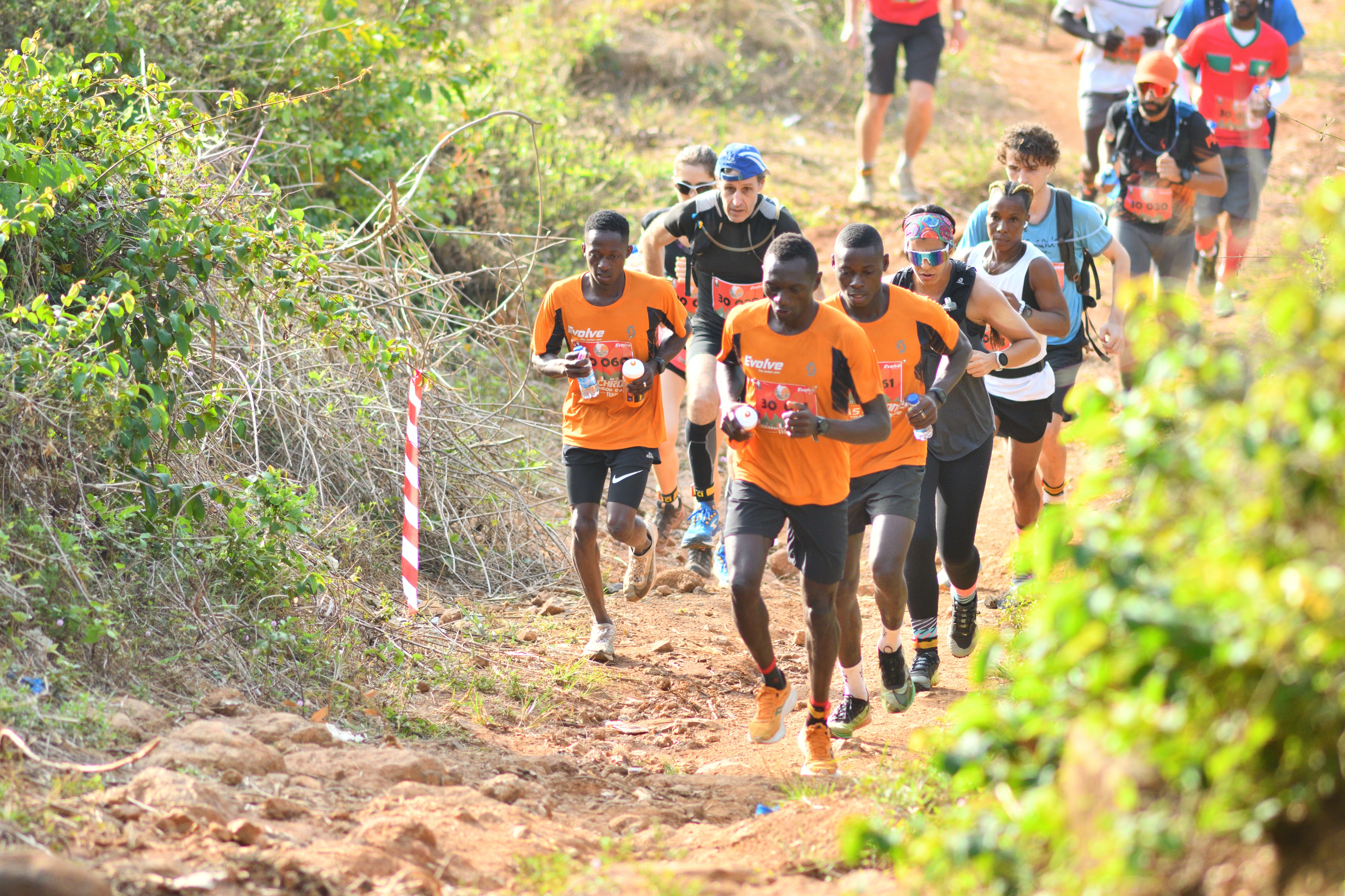 Ivoire Trail